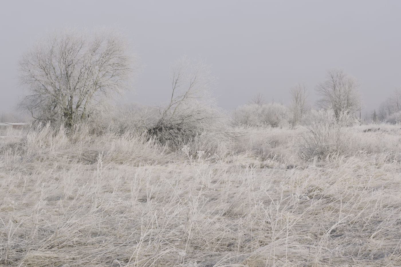 Pale winter light over a frosted field and a wooden fence line, the still, ordinary cold a heated vest is bought for.