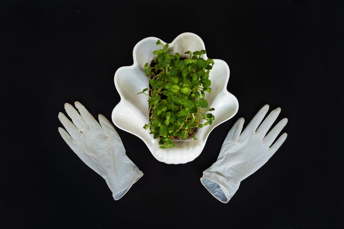 Thin knit glove liners laid flat on a pale surface in soft, even daylight.
