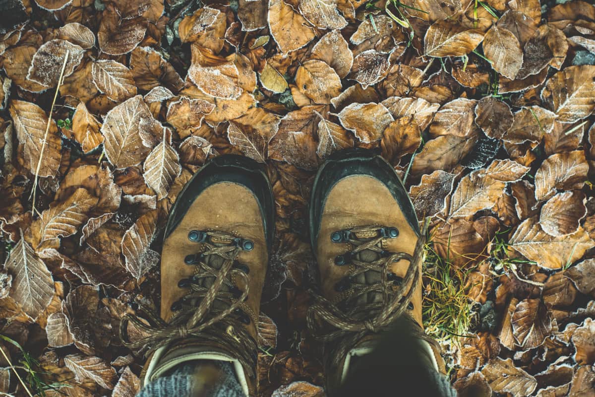 Frost on fallen leaves and boot prints in a quiet winter wood under pale gray light.