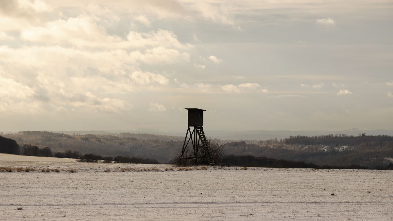 Serene winter landscape featuring a hunting tower against a cloudy sky.